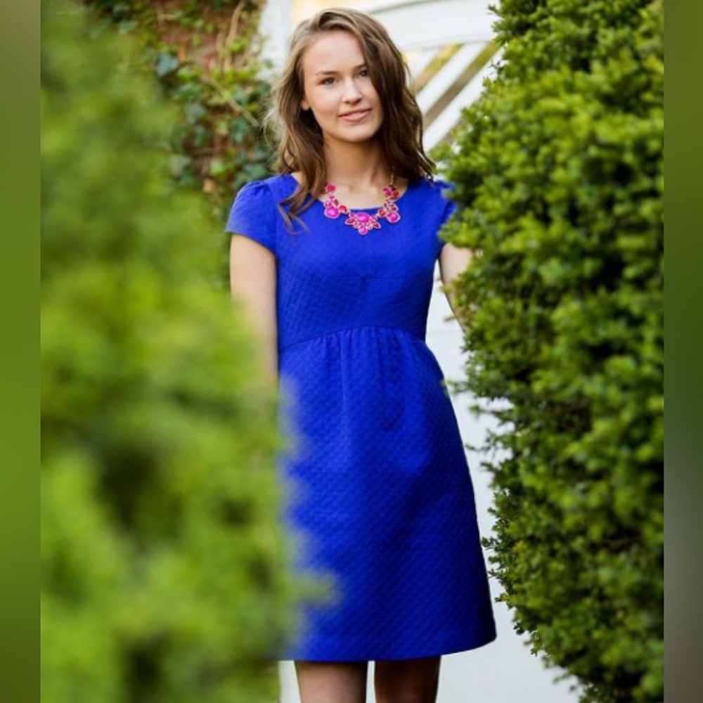 Anthropologie, Elegant Blue Women's Dress